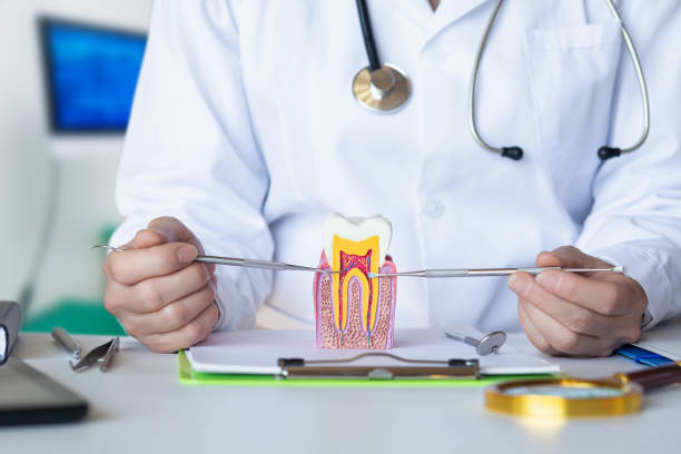 Best Emergency Treatment for Dental Infections or Abscesses in Bloomingdale, TN